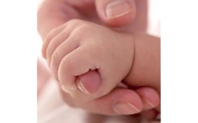 Diferencia entre un bebé demandante y un bebé de alta demanda